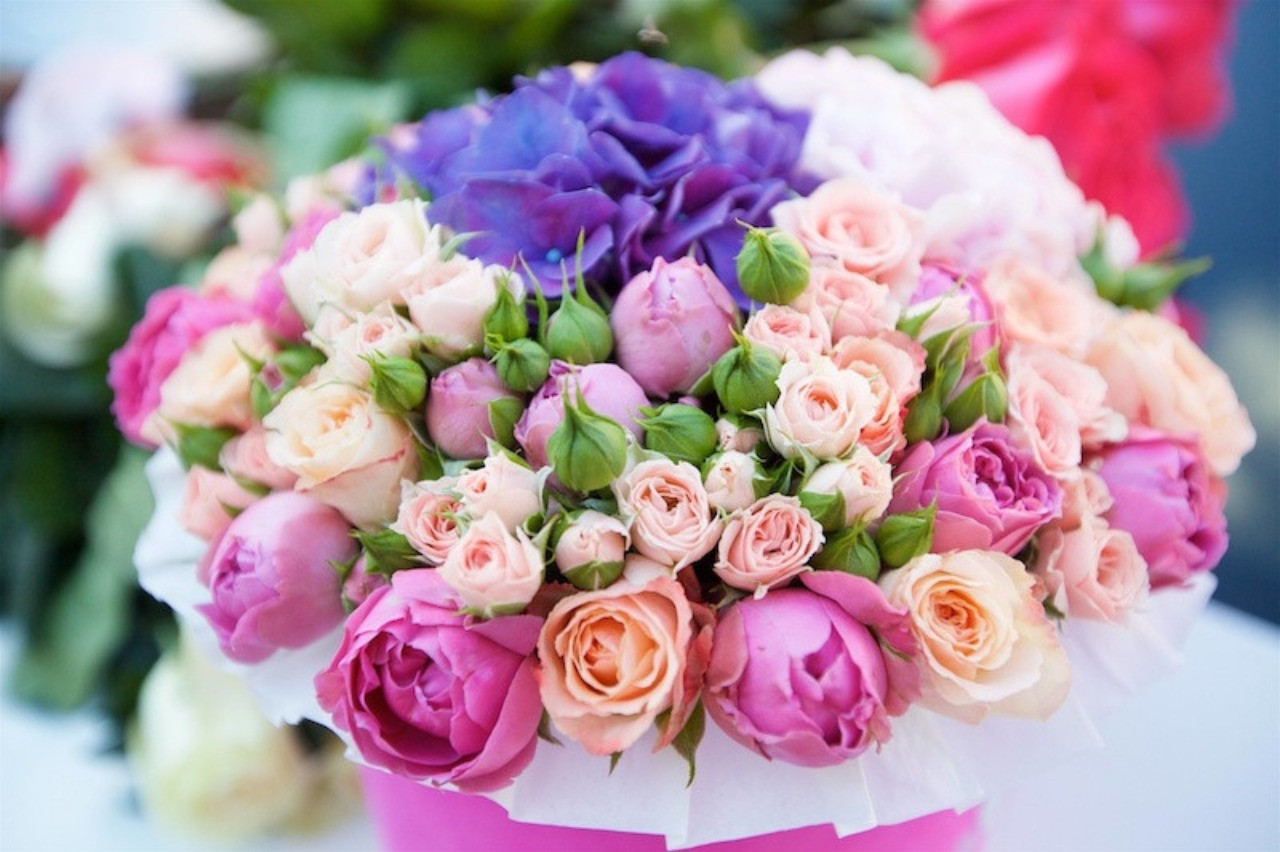 エステ 尼崎　プライベート エステサロン sachimasu店