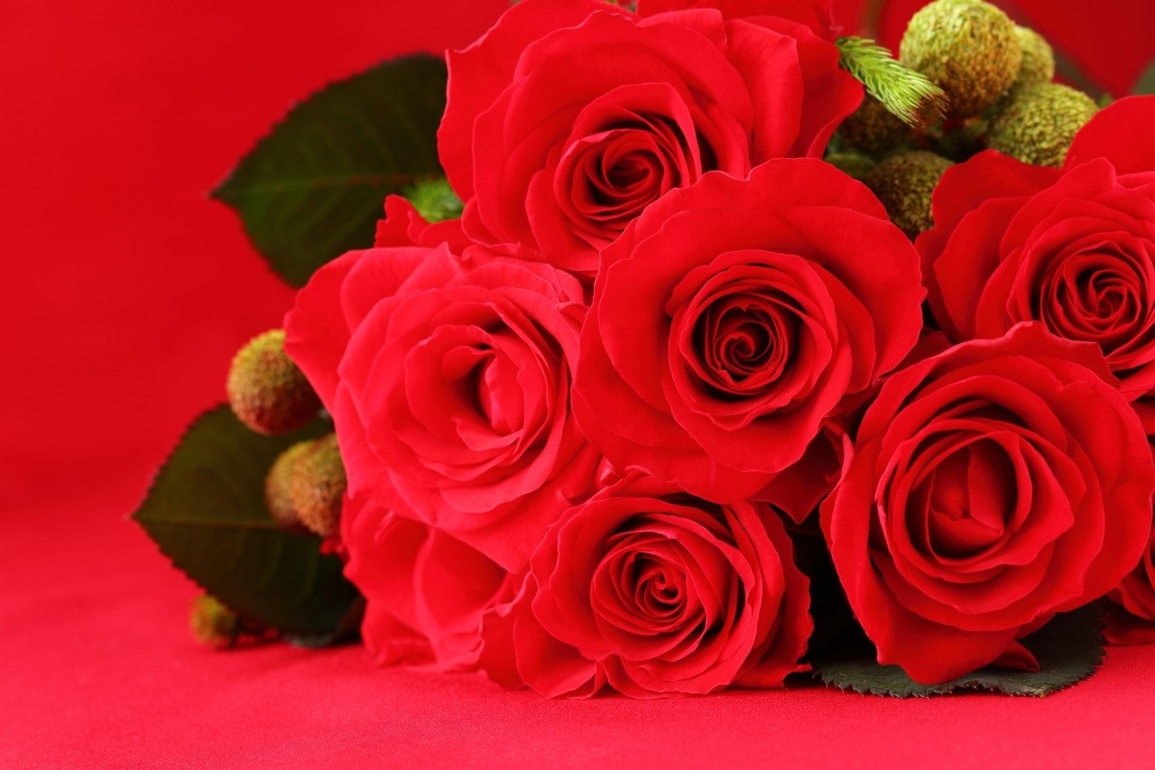 エステ 尼崎 プライベート エステサロン sachimasu から サブスク プラン！