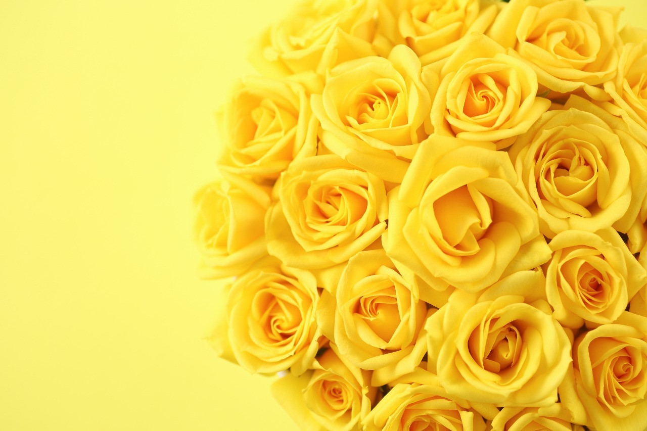 尼崎 サロン sachimasu店の全てのメニューが変わります。