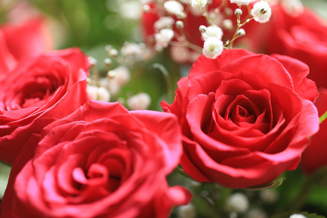 尼崎 エステ で すご～い 青汁 入荷 ！