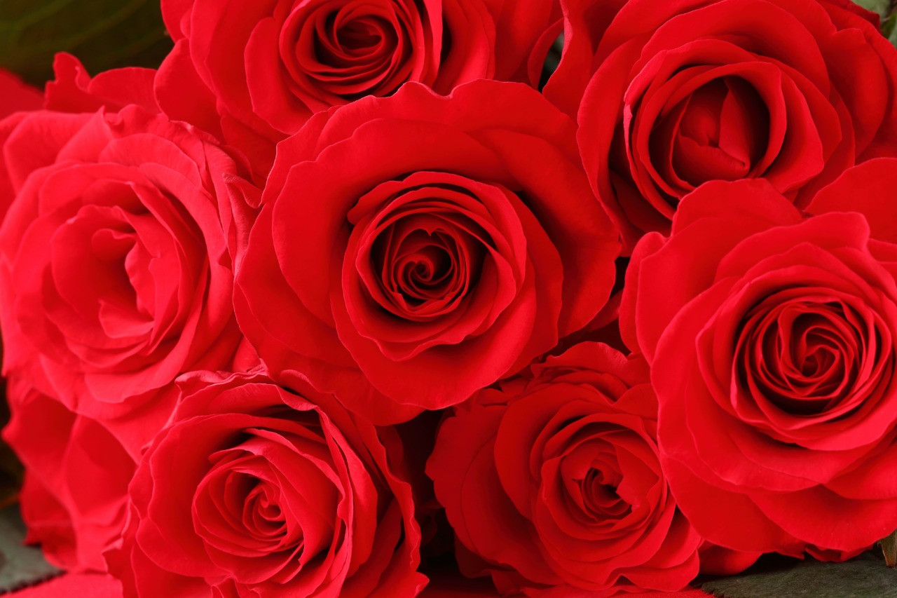 本日は勢力の強い台風の為、尼崎 エステ sachimasuは臨時休業してます。