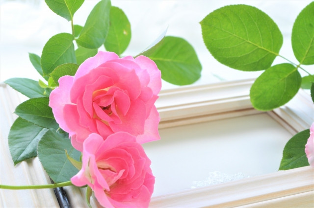 尼崎　エステ　サロン　おもてなしとは！