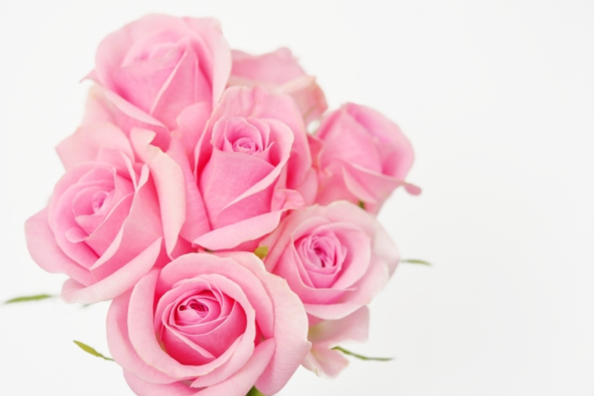 尼崎 エステ サロン では、ご紹介 特典 用意 してます！