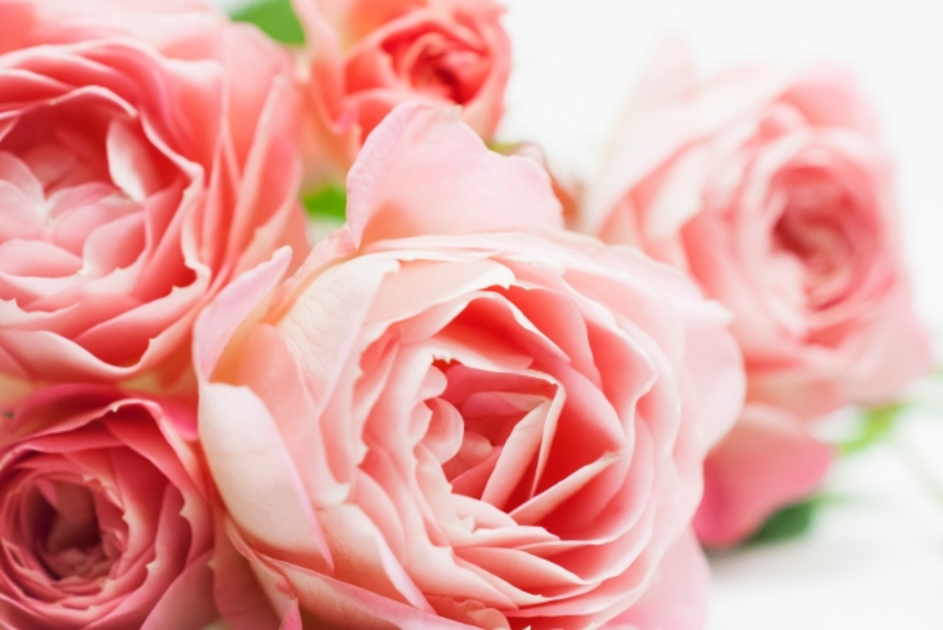 尼崎プライベートエステサロンsachimasu店の挑戦！