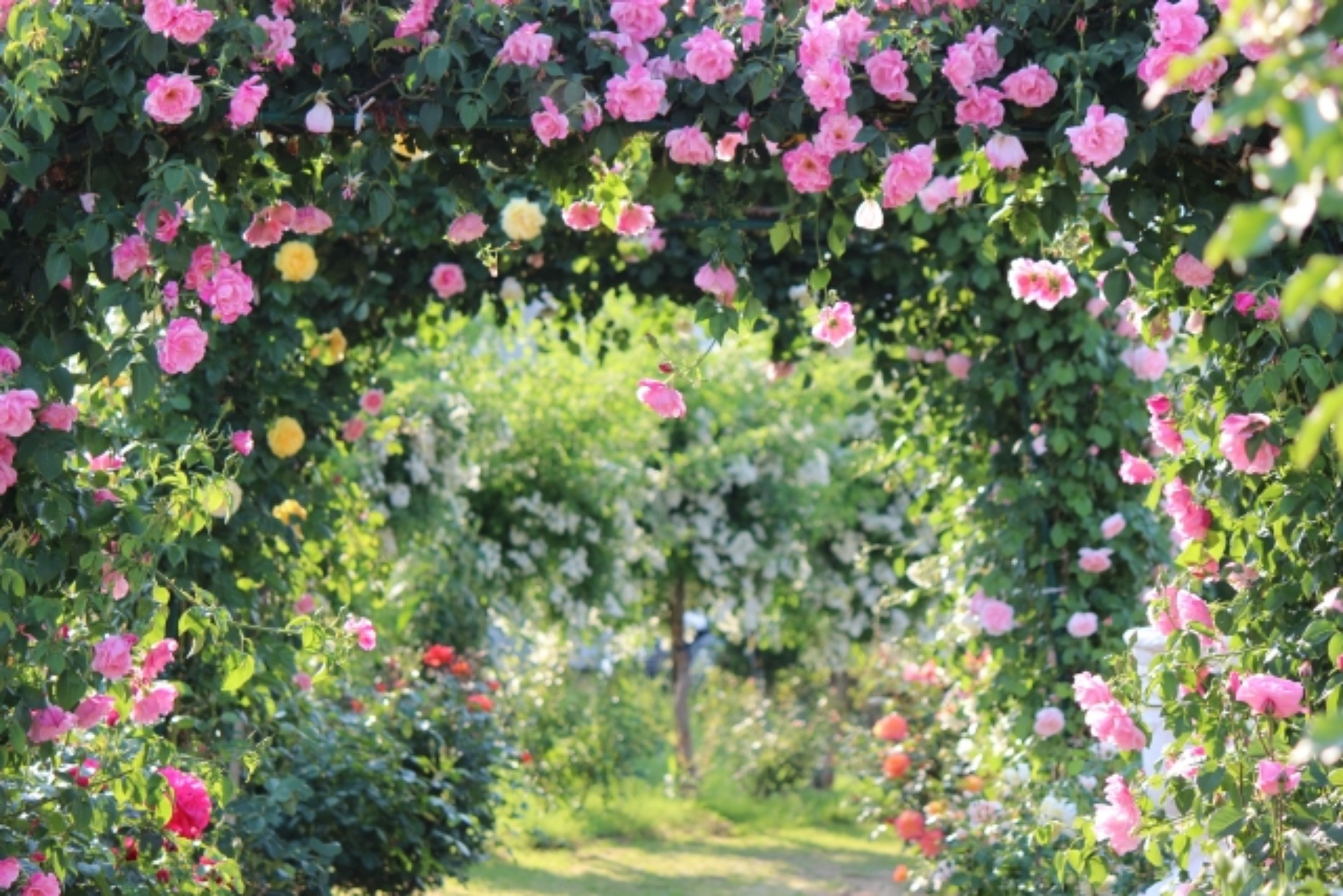 尼崎 エステ 美肌の お客様の 特技、資格 紹介！