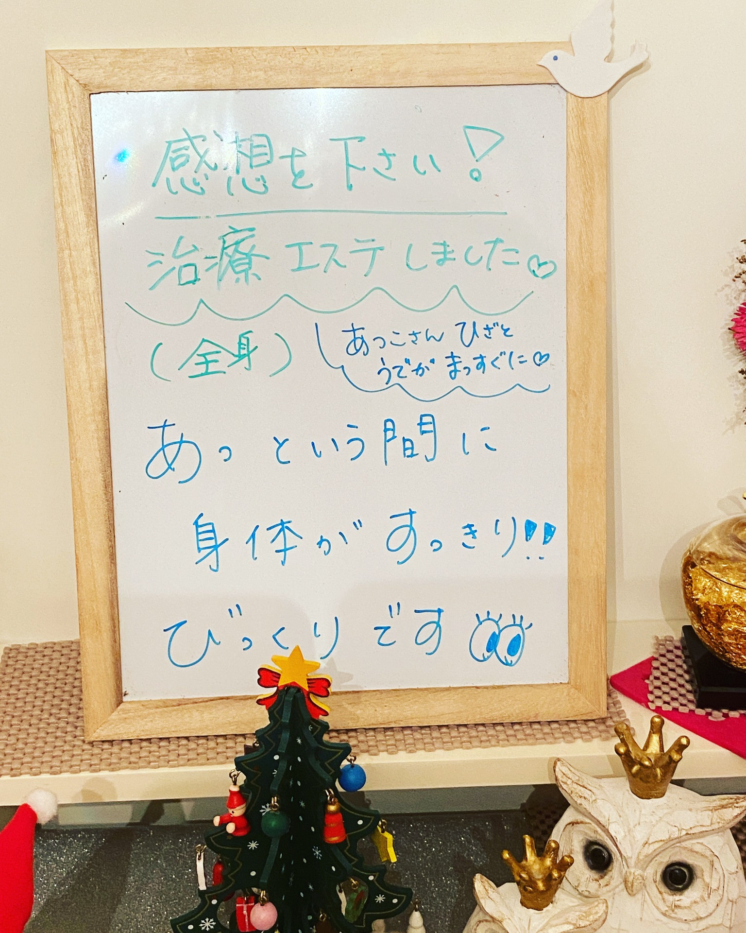 Ａ・Ｎ　様　　エステ